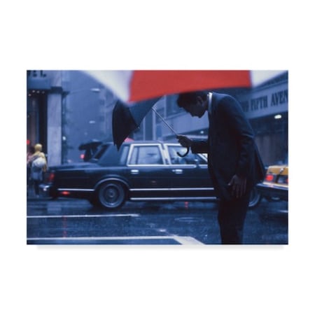 Dieter Matthes 'A Bow To The Rain' Canvas Art,30x47